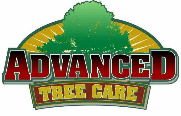 Advanced Tree Care